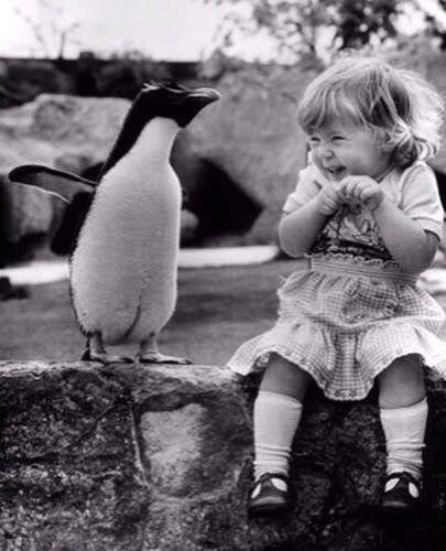 megelpo_tenyek_a_boldogsagrol