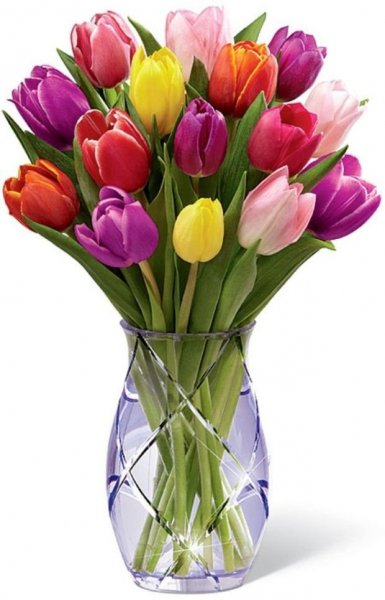 anyák napi tulipán